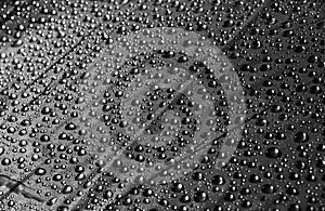 Water Drops. Black and white abstract photography