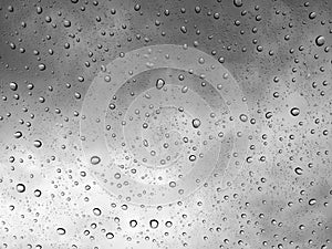 Water drops black and white background