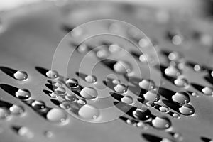 Water drops. Black and white photography