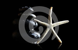 Water drops on black zen pebbles and white starfish.