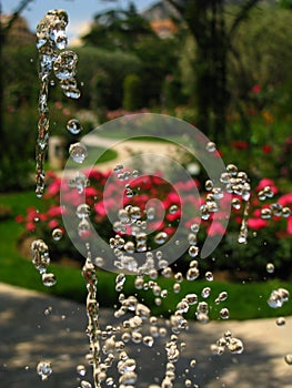 Water drops captured in the air