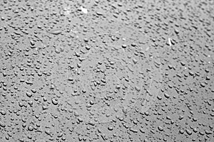 Water drops on car surface in black and white