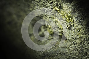 Water drops in a cave