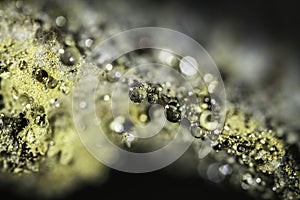 Water drops in a cave