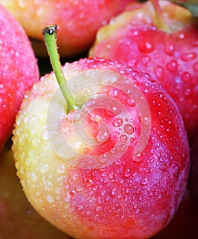 Water drops on fresh apples