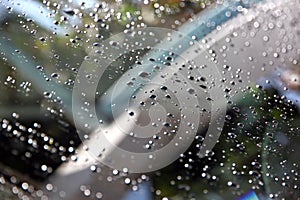 Water Drops on front of Car windshield.