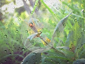 water drops on glass surface as background