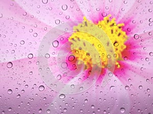 water drops on glass surface as background