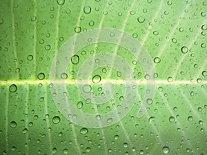 water drops on glass surface as background