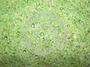 water drops on glass surface as background