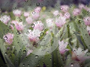 water drops on glass surface as background