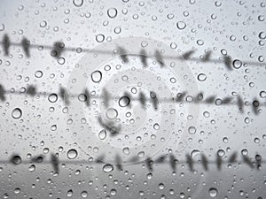 water drops on glass surface as background