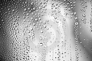 Water drops on glass surface. Droplets black and white background