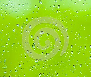 Water drops on a green background