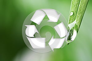 Water drops on green leaf