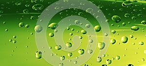 Water Drops on Green Surface