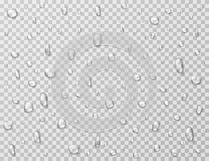 Water drops isolated. Rain drop splashes, droplets on glass transparent window. Raindrop vector texture