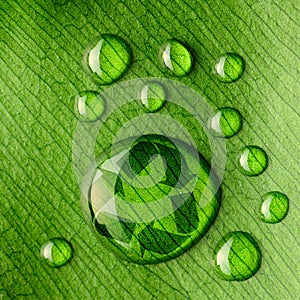 Water drops on leaf and recycle logo