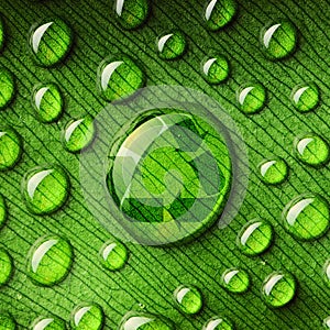 Water drops on leaf and recycle logo