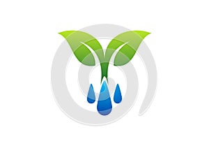 Water drops logo,dew and plant symbol,spring icon photo