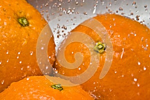 Water Drops - Oranges