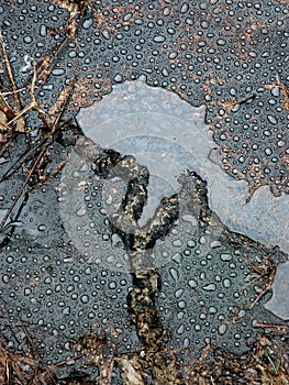 Water drops on the petroleum surface