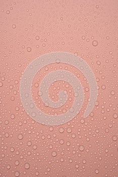 Water drops on a pink background
