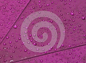 Water drops on pink background