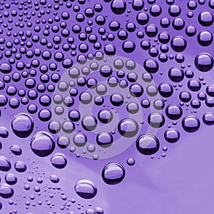 Water Drops( Purple color)