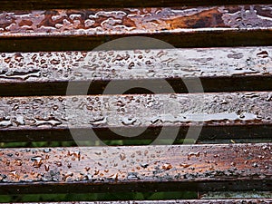 Water drops after rain on a brown wooden bench in a park. Abstract fall or autumn season concept. Selective focus