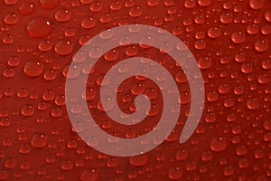 Water drops on red background texture