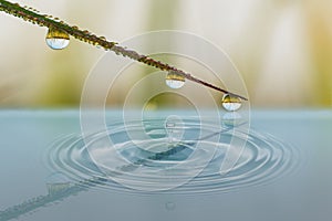 Water drops with reflection shadow in water