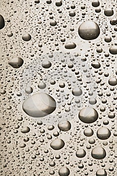 Water Drops on Silver Glass