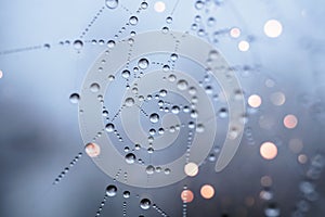 Water drops on the spider web background.