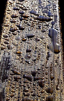 water drops on top of an old metal object and onto the ground