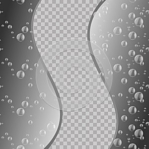 Water drops on transparent background. FGray pattern with water bubbles. Vector Illustration. Ecological environment background wi