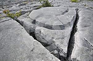 Water Eroded Limestone Grykes