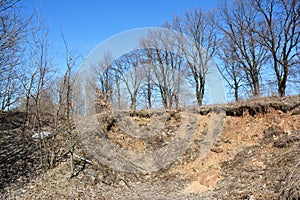 Water erosion remove  soil material from hill by water