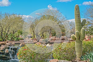 Water fall at Anthem in the Sonoran Desert, Maricopa County, Arizona USA