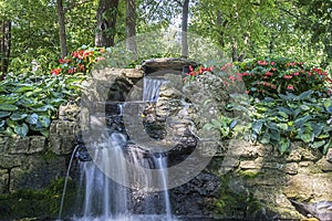 Water-fall in a botanical garden