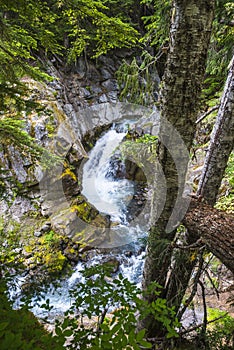 Water fall in Cristian fall area,scene in mt.Rainier National park,Wa,Usa
