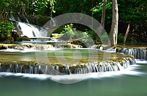 Water fall in deep forest