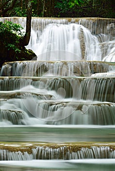 Water fall in deep forest