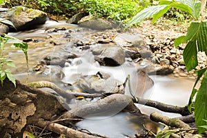 Water fall in deep forest,Chiang Mai Thailand