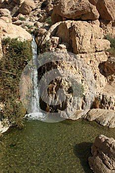 Water fall at ein gedi israel