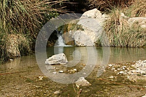 Water fall at ein gedi israel