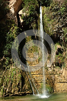 Water fall at ein gedi israel