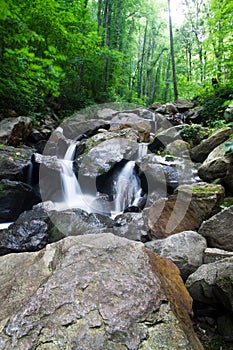 Water fall in the forest