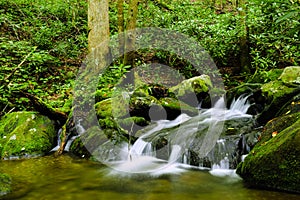 Water Fall Great, Smoky Mountains National Park