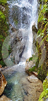 Water fall with green algae photo